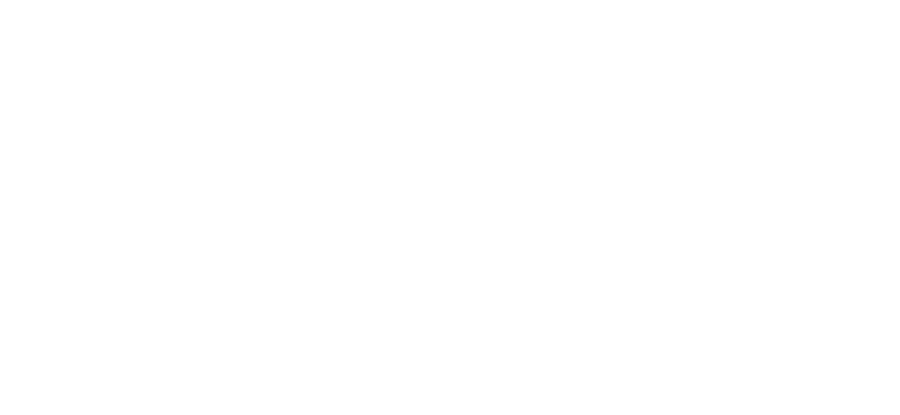 Wolt